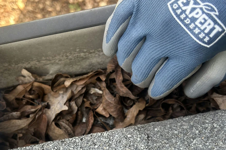 Gutter Cleaning Sebastian FL