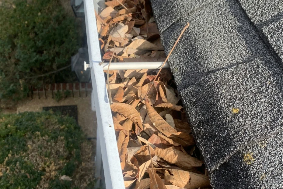 Gutter Cleaning Sebastian FL